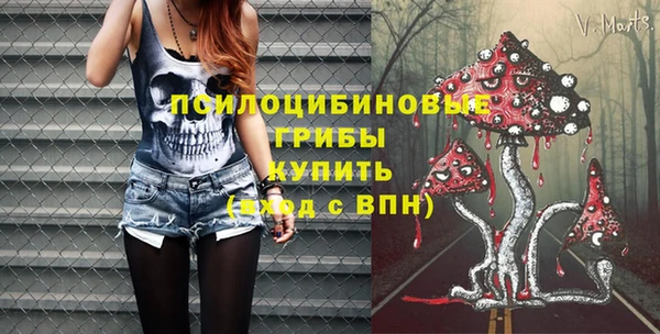 твердый Алексин
