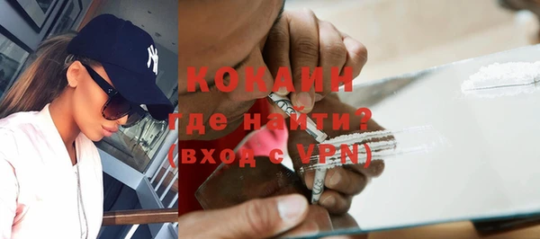твердый Алексин