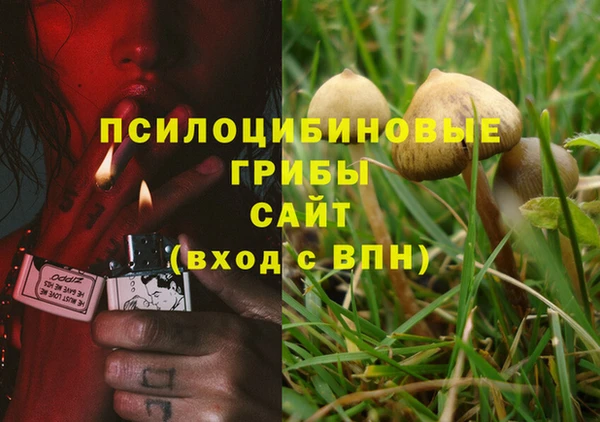 твердый Алексин