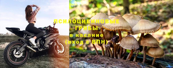 сатива Нязепетровск